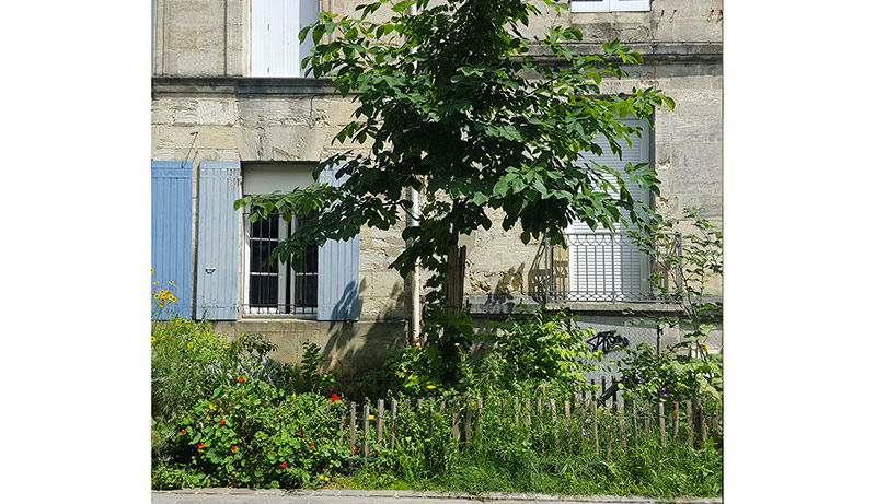 LA RUE AUTREMENT : KLEBER, RUE JARDIN